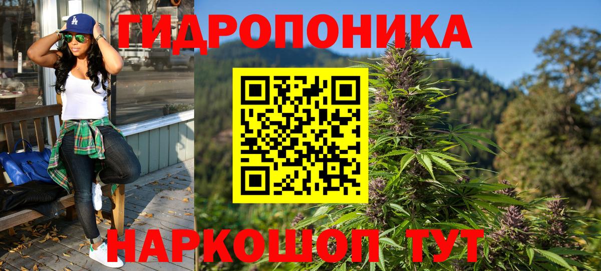 Каннабис MAZAR Асино